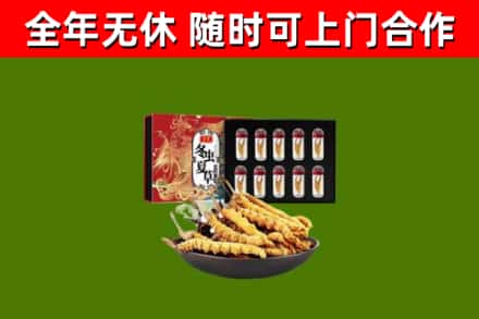 大足区回收冬虫夏草价格