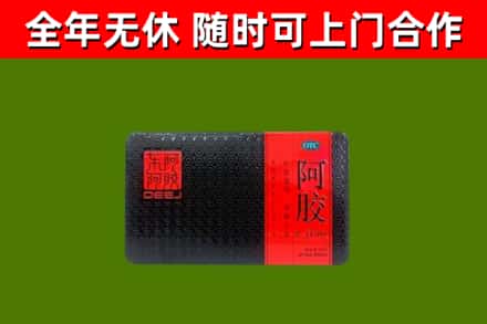 大足区回收阿胶