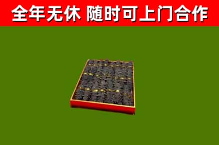 大足区回收海参
